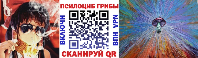 купить цена Нытва кракен рабочий сайт Галлюциногенные грибы мицелий
